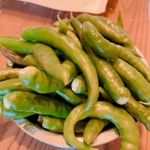 無農薬・無化学肥料栽培＜青唐辛子＞料理にアクセントを添える旬の香味野菜の口コミ・レビュー(みほさん)