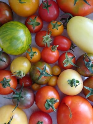 おいしい、たのしい✨🍅の画像 1