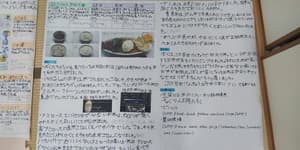 お米の自由研究で。一番のお気に入りのお米！の画像 3