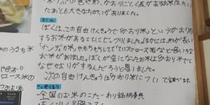 お米の自由研究で。一番のお気に入りのお米！の画像 1