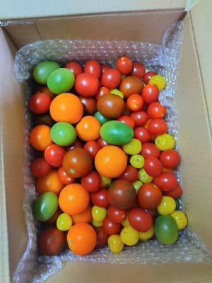 リピートです！の画像 1