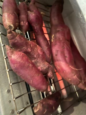 さつまいも祭りの画像 2