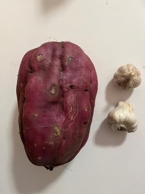 さつまいも祭りの画像 1