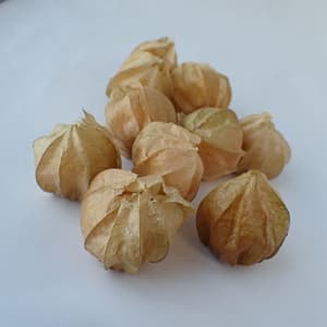 みんなにもの画像 2