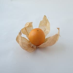 大好評✨の画像 3