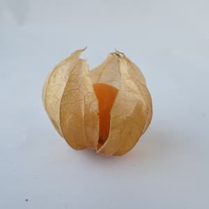 大好評✨の画像 2