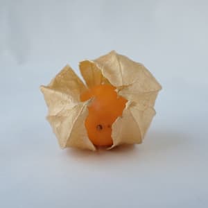 大好評✨の画像 1