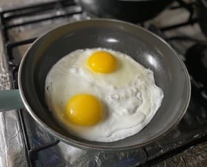 ご馳走様でした。の画像 1