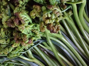 楽しみいろいろ満喫しました！！の画像 3