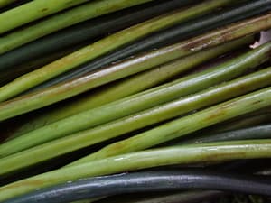 楽しみいろいろ満喫しました！！の画像 4