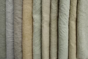 楽しみいろいろ満喫しました！！の画像 5