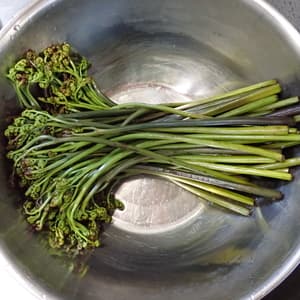 家族みんなで😊の画像 1