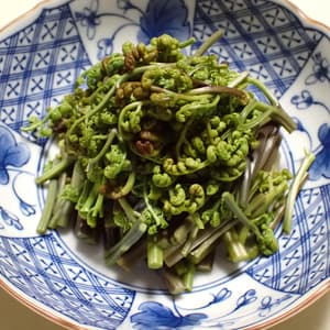今年はわらびを堪能しました！！の画像 2
