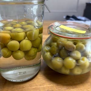 自然栽培の梅(小梅)　2kgの口コミ・レビュー(ソラさん)