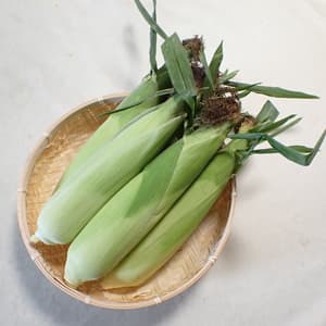 待ってました！！！の画像 1