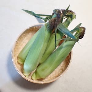 いろいろありがとうございました！！の画像 1