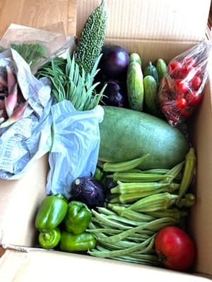 すごい野菜セットに出会えた！の画像 1