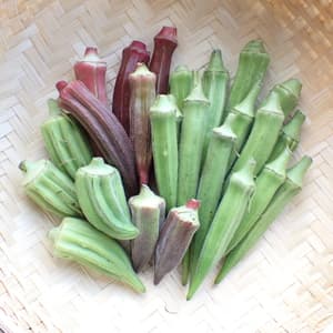 《農薬・肥料不使用》生でも美味しいオクラの口コミ・レビュー(スケさん)