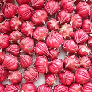 《農薬・肥料不使用》ハイビスカスローゼル　生の口コミ・レビュー(スケさん)