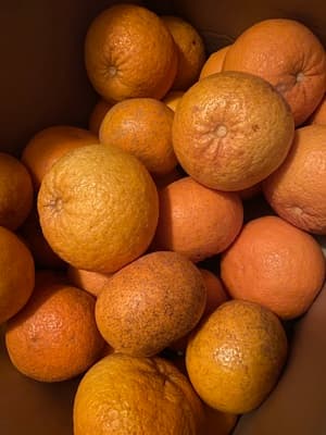 大満足です。の画像 1