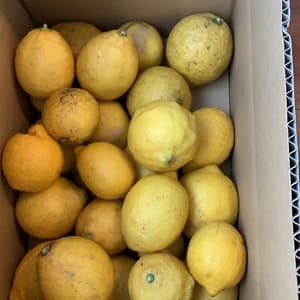 美味しいレモンをありがとうございます。の画像 1