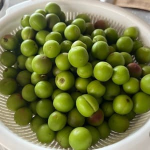 自然栽培の梅(小梅)　2kgの口コミ・レビュー(28さん)