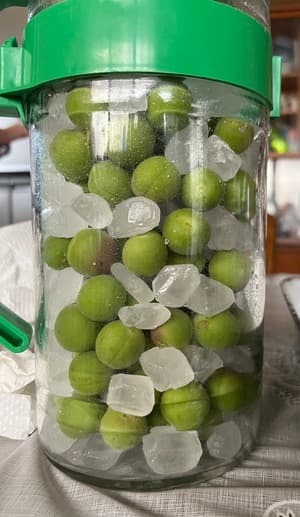 とても綺麗な小梅です！の画像 1