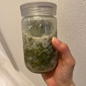 実山椒の口コミ・レビュー(ゆきさん)