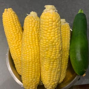 【甘さ自慢】オーガニックとうもろこしの口コミ・レビュー(satocarlさん)