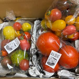 《2025終了》無農薬とまといろいろの口コミ・レビュー(ソラさん)