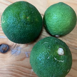 農薬・肥料不使用「青切りかぼす」の口コミ・レビュー(nakaさん)