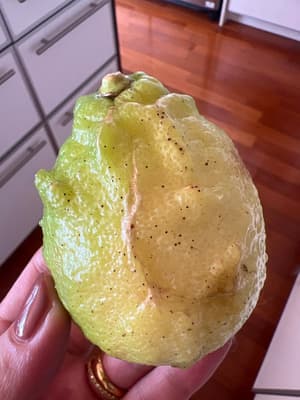 グリーン？の画像 1