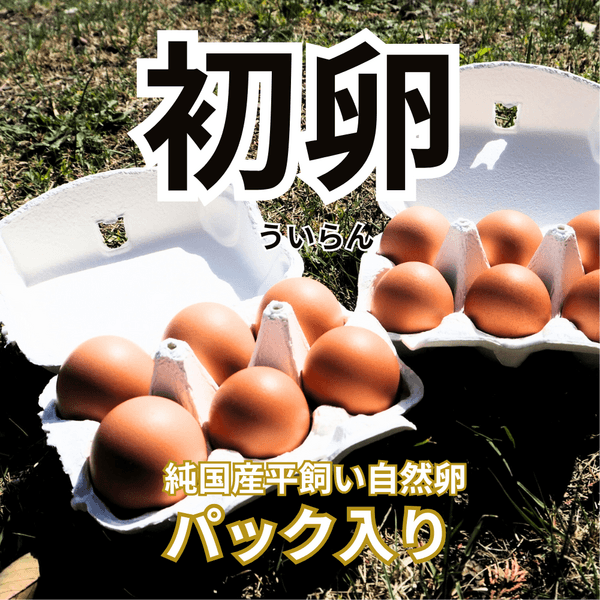 【初卵予約販売！】平飼い自然卵（有精卵）｜完全自家配合！ 全て国産・抗生物質・添加物不使用