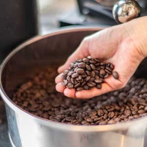 EM栽培（無農薬、無化学肥料）｜コスタリカ産・スイートグリーン（中煎り）｜華やかで洋菓子店に入った時のような上品な香りの口コミ・レビュー(リコレフアさん)