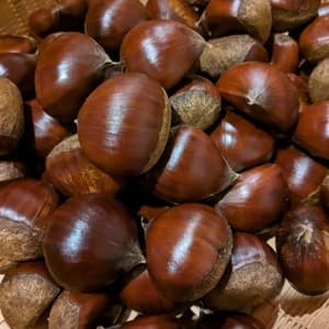 氷温熟成の栗　農薬・化学肥料不使用の口コミ・レビュー(necoさん)