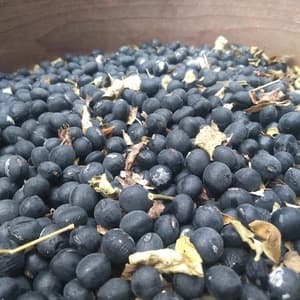 【2026年２月以降販売開始予定】丹波黒大豆 2025年産【無肥料・無農薬】