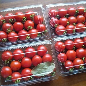 「トマトソース手作りしよう」ボルゲーゼトマト【無肥料・無農薬】