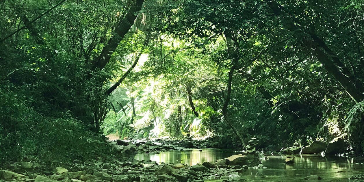 バルヤンナイクロゴ