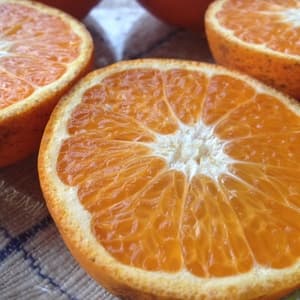 自然栽培 マンダリンの口コミ・レビュー(さくらさん)