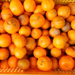 自然栽培みかん（家庭用傷あり）