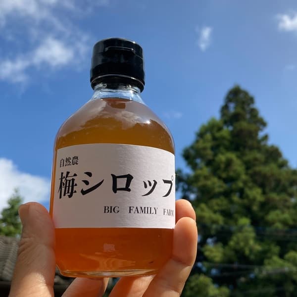 無農薬・無化学肥料【梅シロップ】水割り・ソーダ割り・かき氷など