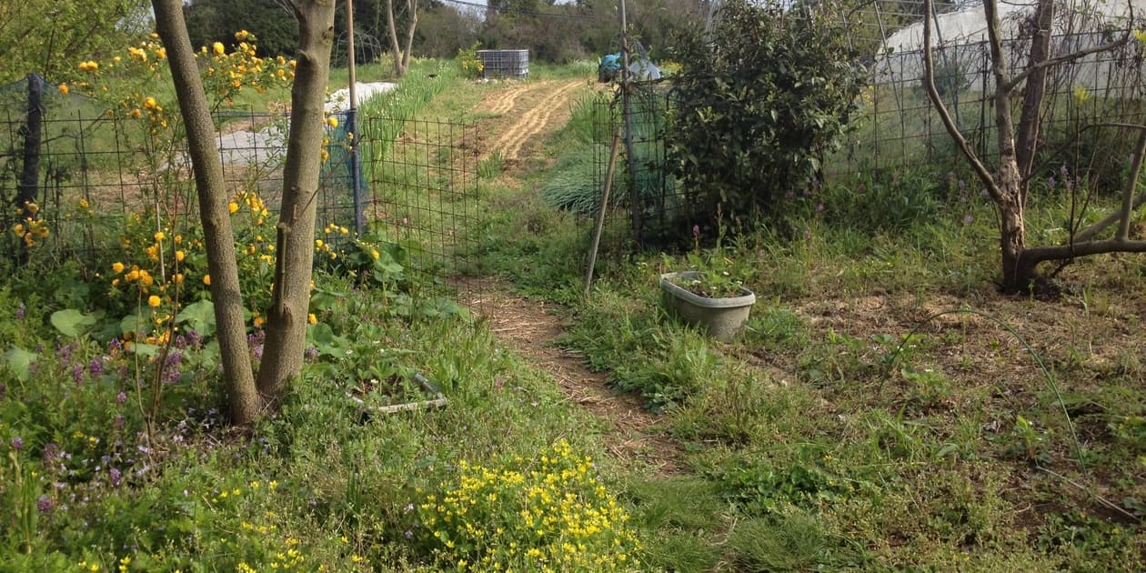 BIG FAMILY FARMロゴ