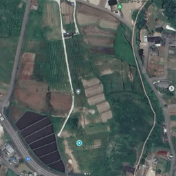 ブルーベリー農園ができるまで（2021年から2025年）