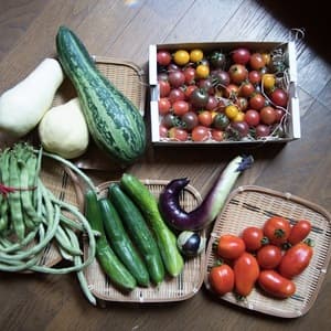 【7月末〜発送】種も土も！こだわり有機農家のオーガニック野菜セット7-8種類