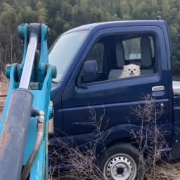 こめちゃんと畑時間