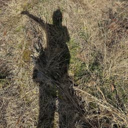 残っていた実と、きれいに整った隣の畑