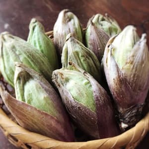 【春の訪れ】自然栽培のふきのとうの口コミ・レビュー(梟さん)