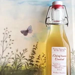 自然栽培エルダーフワラーのコーディアルシロップの口コミ・レビュー(いちふじさん)