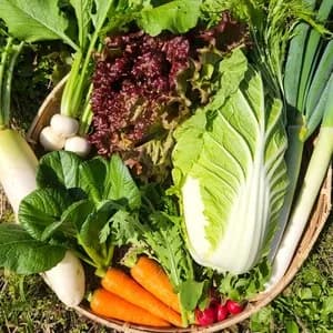 無農薬無化学肥料 旬の野菜セット（現在は冬野菜セット♪）の口コミ・レビュー(ぱふさん)