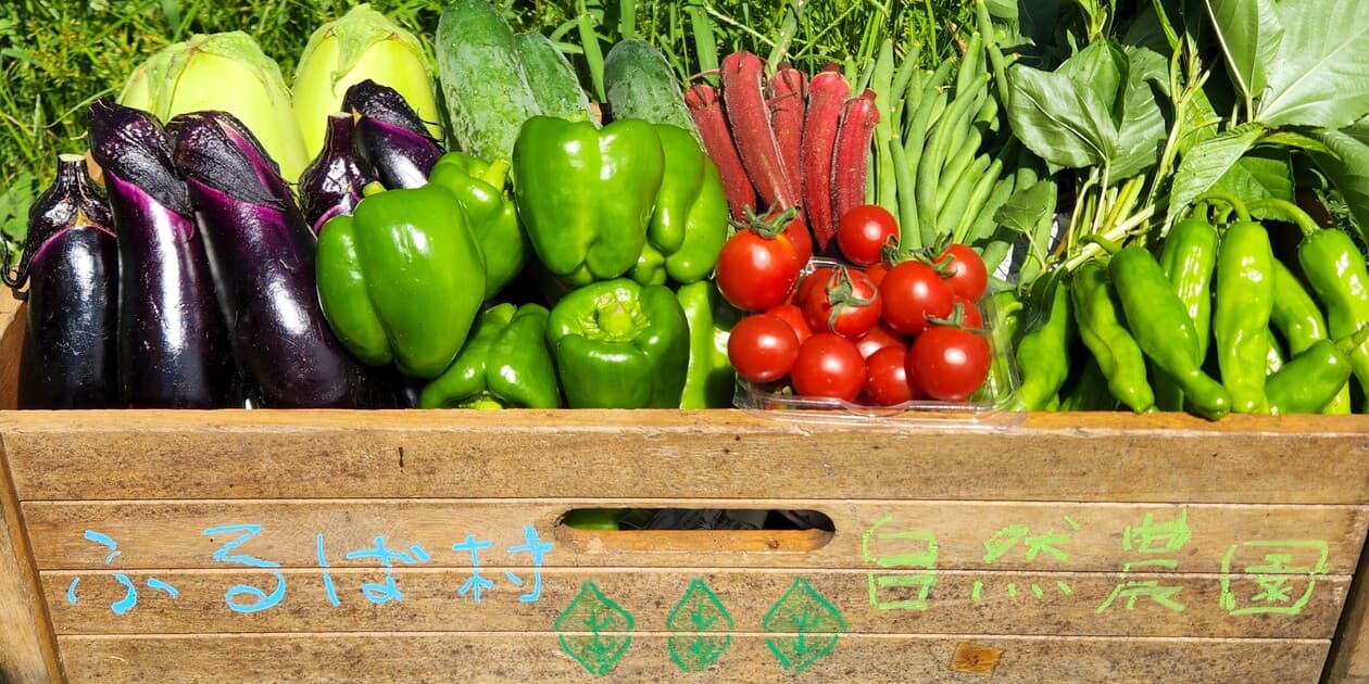 ふるば村自然農園ロゴ